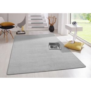 Moderní kusový koberec Fancy 103006 | šedý Typ: 80x150 cm