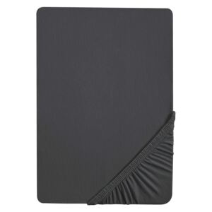 Biberna Žerzejové napínací prostěradlo, 90–200 x 200 cm (180-200 x 200 cm, titan)