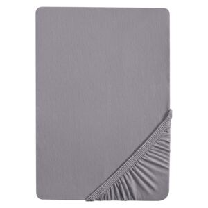 Biberna Žerzejové napínací prostěradlo, 90–200 x 200 cm (140-160 x 200 cm, stříbrnošedá)