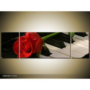 Obraz klavíru a růže (F000382F17050)