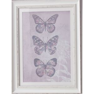 Arthouse Rámovaný obraz - Enchanted Butterflies
