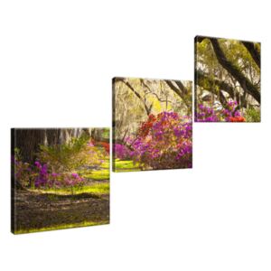 Obraz na plátně Silné duby a květiny 120x80cm 1480A_3O