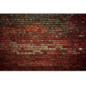 Fototapeta - Zeď z cihel + zdarma lepidlo - 375x250