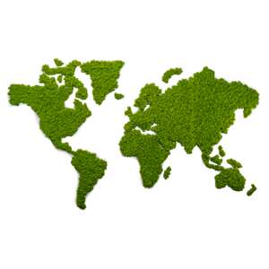 Mapa světa z Islandského mechu velikost 230x135 - Leaf green