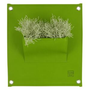 Blooming Walls s.r.o. Sezónní kapsář na rostliny THE GREEN POCKETS 50x45 cm, tmavě zelená