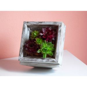 Dřevěný květináč - živý obraz na sukulenty se stojánkem Vintage