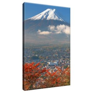 Obraz na plátně Sopka Fudži 20x30cm 1198A_1S