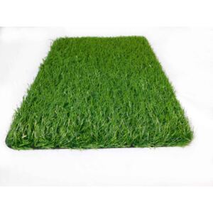 Orbis umělá tráva Sophia šíře 2m zelená