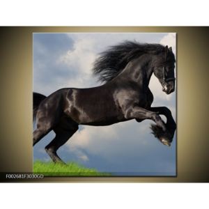 Obraz černého koně (F002681F3030GD)