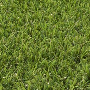 Umělý travní koberec Irish Grass 666 bez nopů