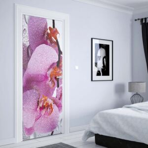 GLIX Fototapeta na dveře - Flowers Orchids Drops | 91x211 cm
