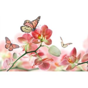 Vliesové fototapety na zeď Motýli a orchideje | MS-5-0146 | 375x250 cm