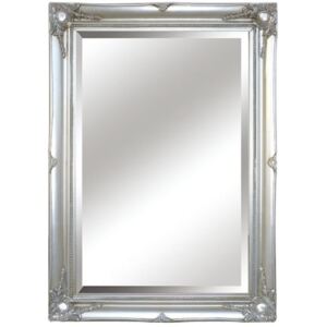 Zrcadlo s rámem ve stříbrné barvě TYP 7 TK2200