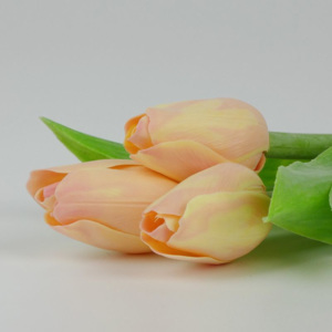 Francouzský umělý tulipán č. 16 – světle broskvový