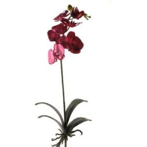Umělá Orchidej fialová 70cm - Do interiéru