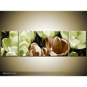 Obraz rozkvětlých tulipánů - hnědá zelená (170x50 cm)