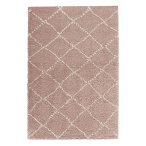 Moderní kusový koberec Allure 102750 | růžový Typ: 120x170 cm
