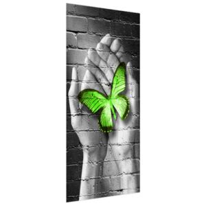 Samolepící fólie na dveře Zelený motýl v dlaních 95x205cm ND3385A_1GV