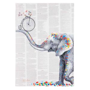 Moderní obraz Elefant - LIKVIDACE VZORKŮ