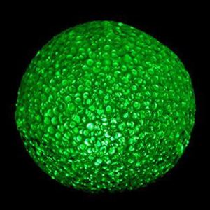 LED svítící koule měnící barvu, 8 cm - Nexos Trading GmbH & Co. KG D41717