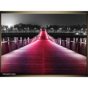 Obraz růžově osvíceného mostu (F001847F7050)