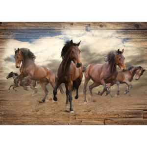 Postershop Fototapeta vliesová: Koně (3) - 416x254 cm