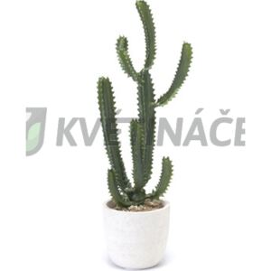 Umělá Euphorbia 90cm - Do interiéru