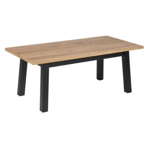 Konferenční stolek Rachel, 117 cm, černá/dub (Konferenční stolek Rachel, 117 cm, černá/dub, skladem 1 ks)