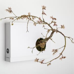 Ortisgreen Obraz z živých rostlin Artkami Destra neosázený, bílá