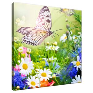 Obraz na plátně Motýli a květiny v krásné zahradě 30x30cm 2220A_1AI