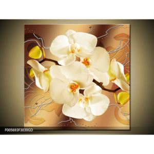 Krásný obraz orchidejí (F005693F3030GD)