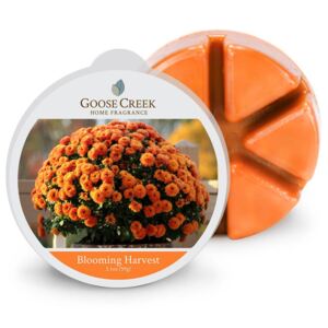 Goose Creek - vonný vosk Blooming Harvest (Kvetoucí sklizeň) 59g (Podzim v plném květu! Naše oblíbené roční období nejlépe reprezentují krásné chryzantémy.)