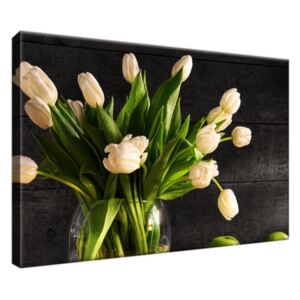 Obraz na plátně Krémové tulipány 30x20cm 1392A_1T