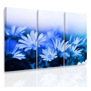 InSmile ® Obraz modré květy Velikost (šířka x výška): 90x60 cm