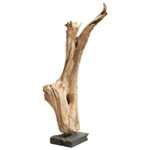 Dřevěný kořen BALI přírodní teak