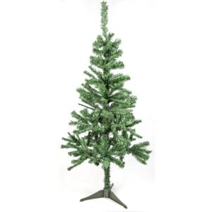 Vánoční stromeček Aga jedle zelená 60 cm