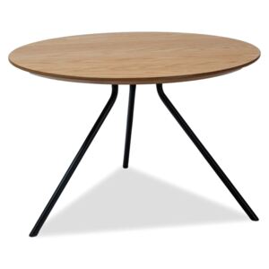 Konferenční stolek - TOTO, dub/černá