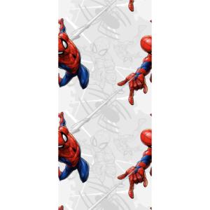 WPD9760 AG Design vliesová tapeta 53 x 1005 cm Disney Spider Man