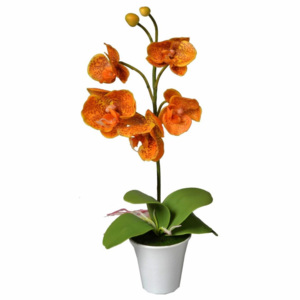 EverGreen Orchidea v květináči výška 35 cm, oranžová