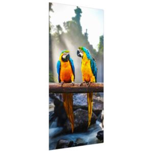 Samolepící fólie na dveře Barevní papoušci 95x205cm ND1994A_1GV