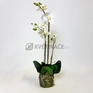 Umělá Orchidej White 3 st. 70cm - Náš TIP