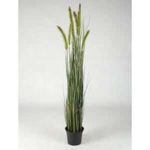 Foxtail Grass Green 120cm - Do interiéru