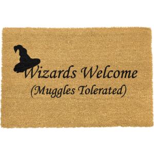 Rohožka Artsy Doormats Wizards Welcome, 40 x 60 cm