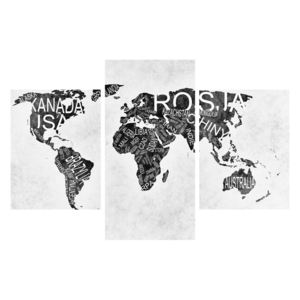 Obraz mapy světa (K011854K90603PCS)