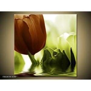 Obraz hnědé květiny na vodě (F002870F3030)