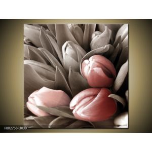 Obraz tří světlečervených tulipánů (30x30 cm)