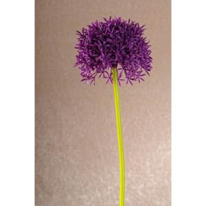 Paramit Aranžovací květina česnek fialová