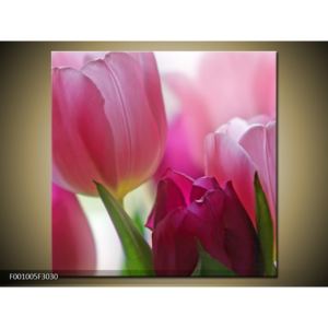 Obraz růžových tulipánů (F001005F3030)