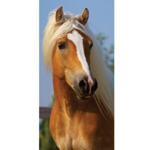 Polášek Holešov Dětská osuška kůň 100% bavlna 70x140