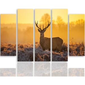 CARO Obraz na plátně - Deer At Sunset 2 100x70 cm